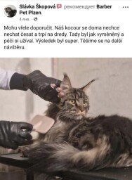 70575399-E73B-45A8-B8BA-8C254B83905A