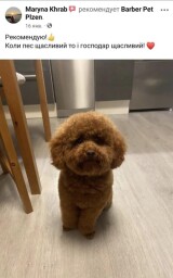 61384C17-01B0-4841-B81B-68459ABE981E